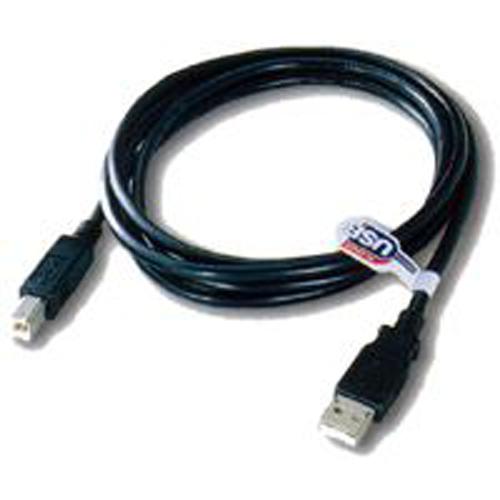 TechCraft Câble USB 2.0 connecteurs A/B Mâle/Mâle 1 pied Noir