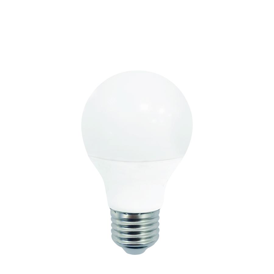 Xtricity - Ampoule DEL Gradable à économie d'énergie, 7W, Culot E26, 5000K Lumière du Jour