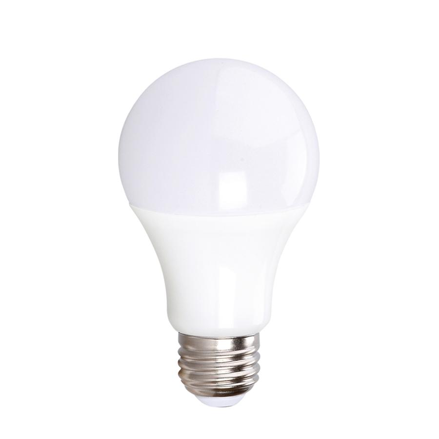Xtricity - Ampoule DEL à économie d'énergie, 6W, Culot E26, 5000K Lumière du Jour - Simple Boutique