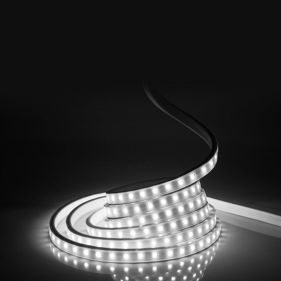 Xtricity Bande del flexible 15'x0.8mm/8W -3'/120V/5000k/Blanc Intérieur et Extérieur - Simple Boutique